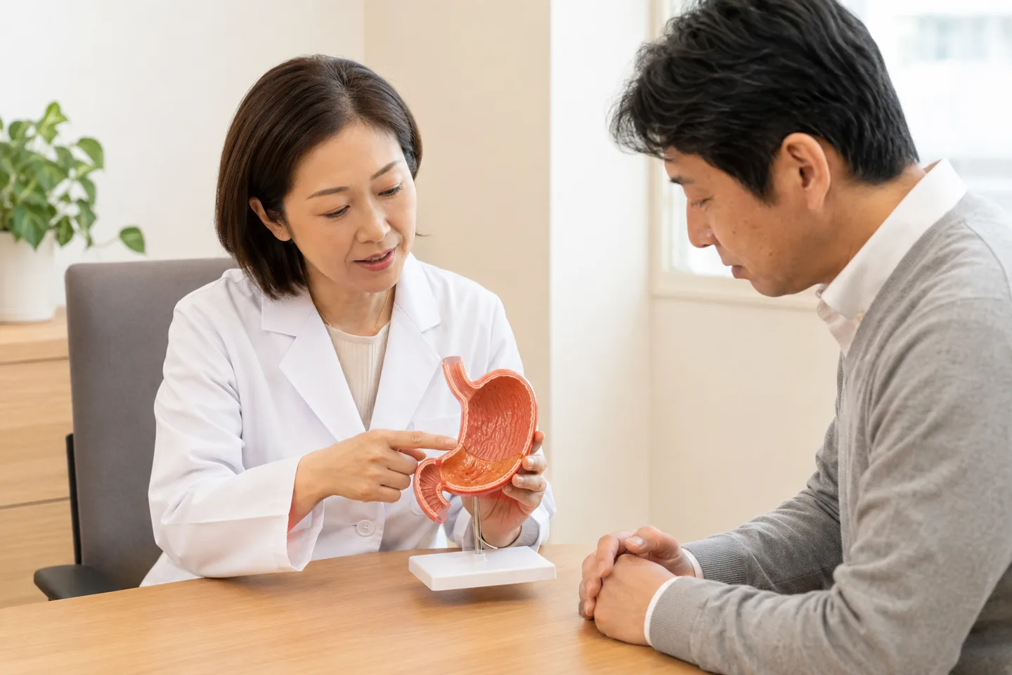 医師が胃の模型を使い、ピロリ菌の検査と治療について患者に説明するイメージ